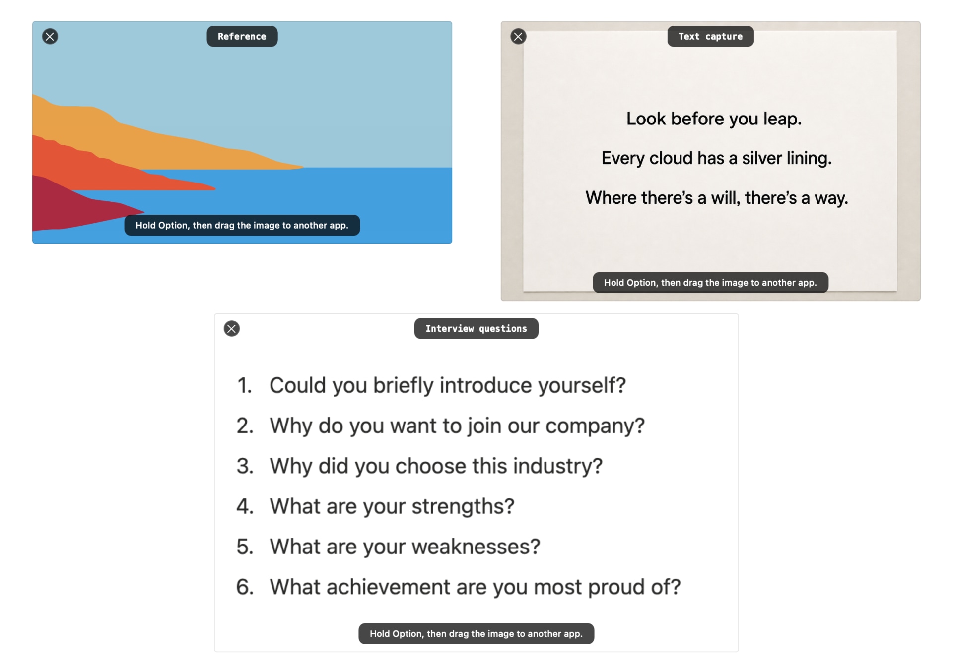 AegisClip pinned reference images, notes, and question lists arranged for study